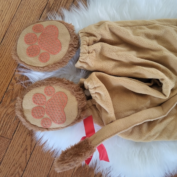 Lil' Lion Costume 🦁 - Picture 12 of 13